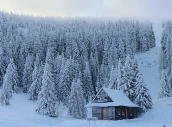 a cabin in the middle of a snowy forest