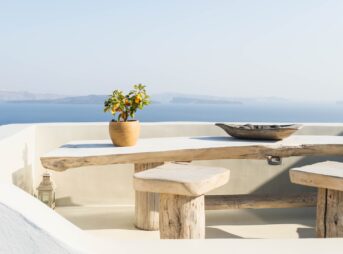 brown pot with green plant on wooden bench