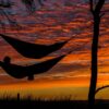 person lying on hammock