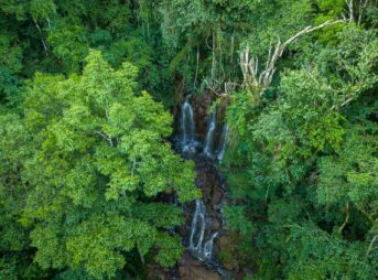 an aerial view of a waterfall surrounded by trees